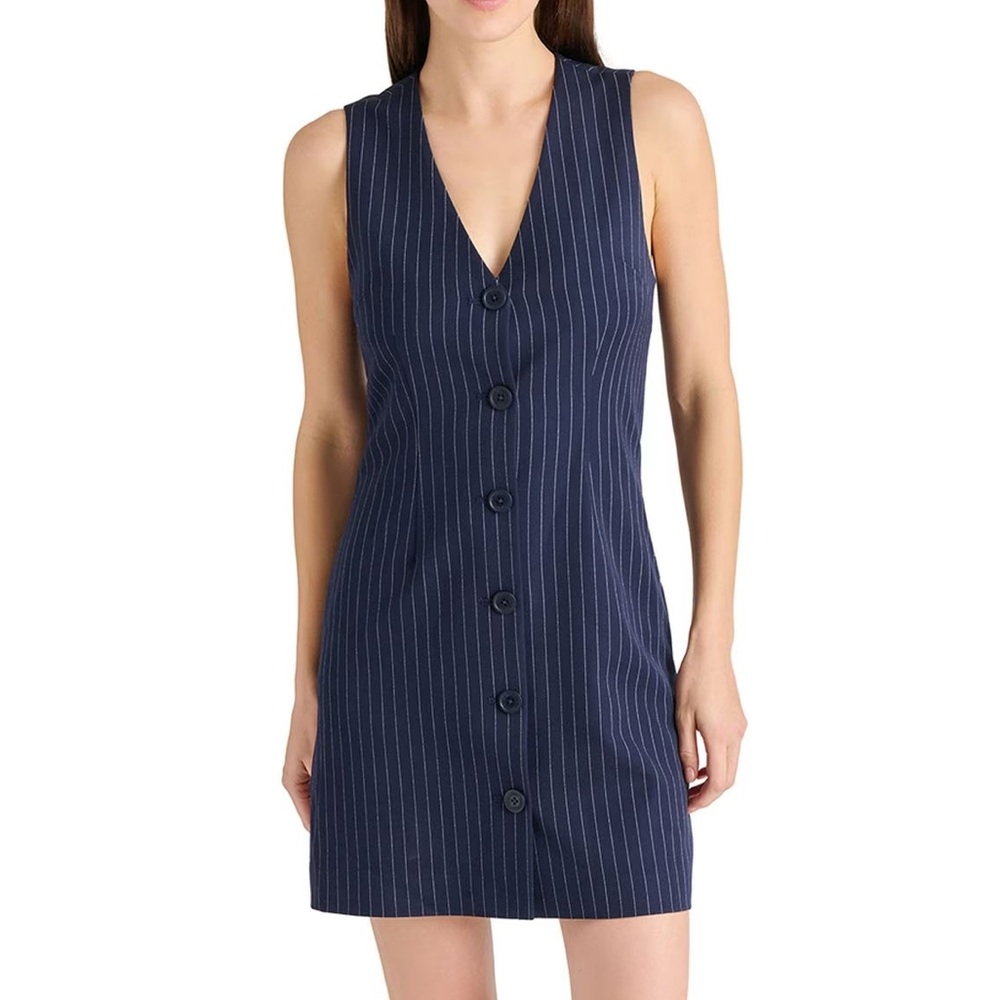 Steve Madden Pinstripe Dress